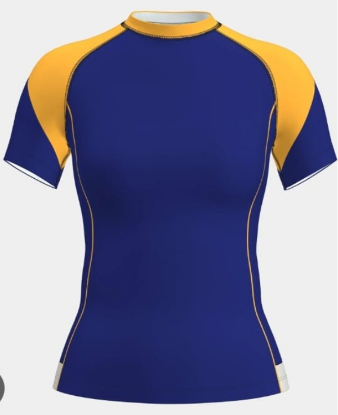 Picture of Men’s Compression Fit Sports T-Shirt – Royal Blue & Yellow